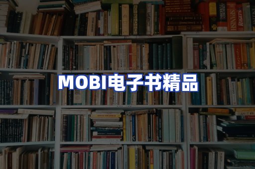 外文电子书产品